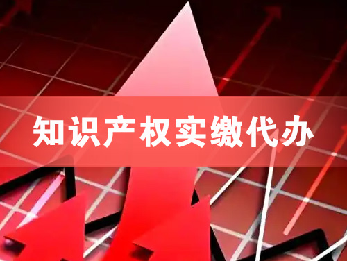 从化知识产权实缴资本代办